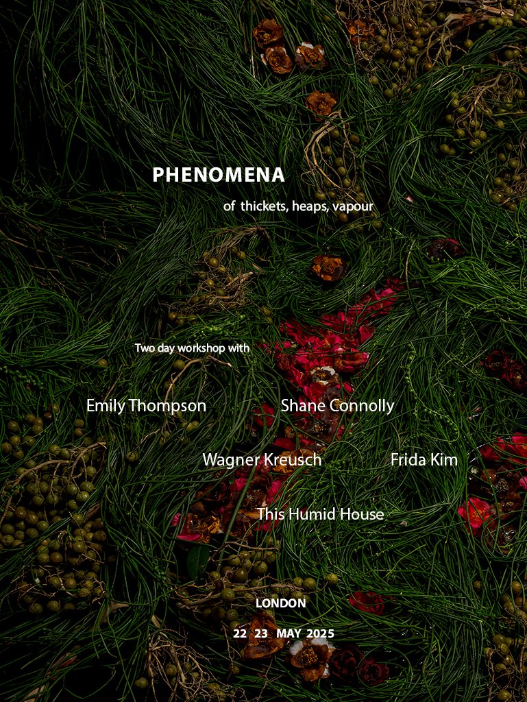 PHENOMENA – OF THICKETS, HEAPS, VAPOUR: WORKSHOP IN LONDON, UK WITH EMILY THOMPSON, SHANE CONNOLLY, WAGNER KREUSCH, FRIDA KIM, AND THIS HUMID HOUSE